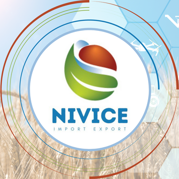 ΜΥΘΗΣ ΑΓΓΕΛΟΣ ΙΩΑΝΝΗΣ||NIVICE